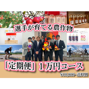 【予約販売】2022選手が作る農作物【定期便1万円】