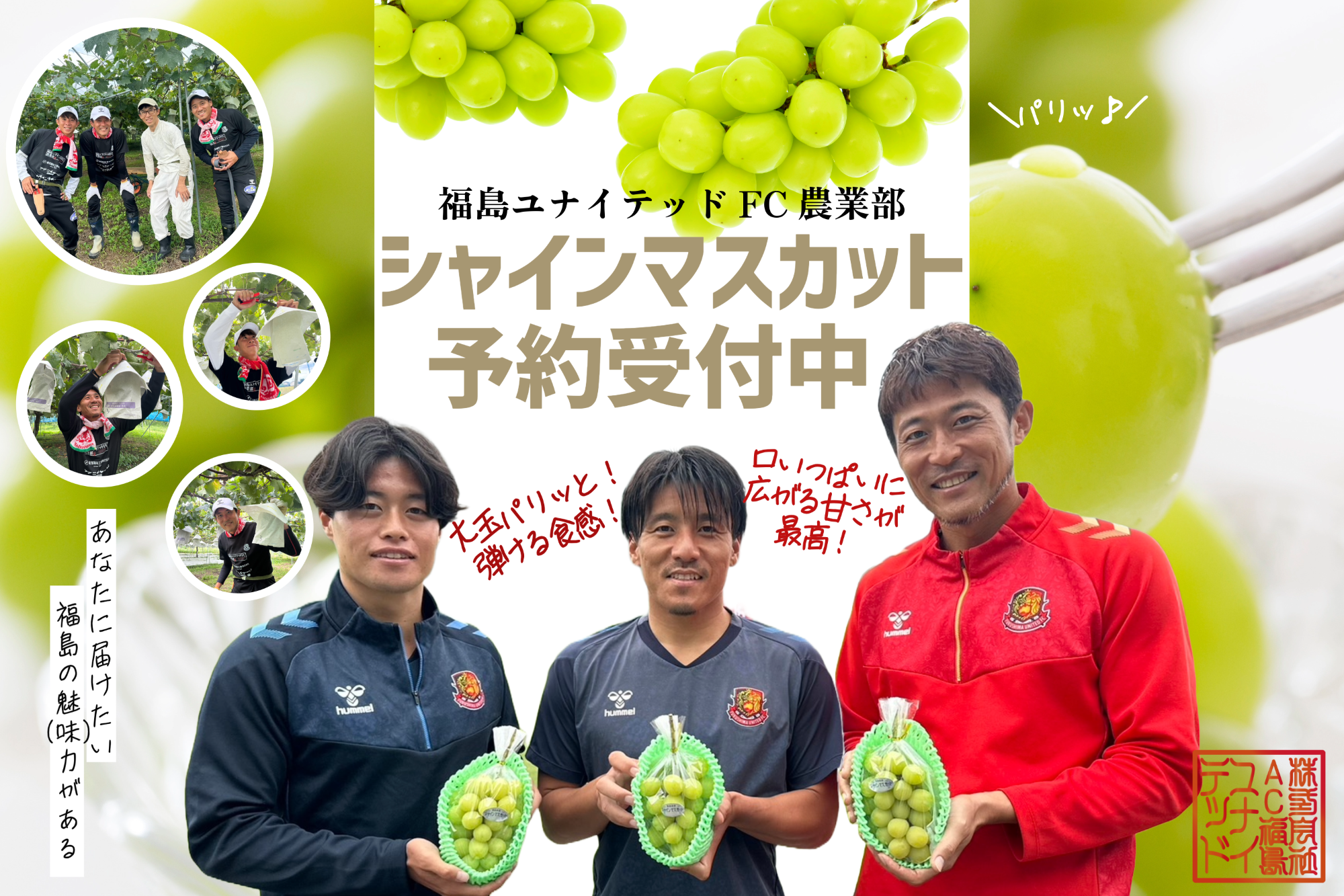 【予約販売】2024福島ユナイテッドFCのシャインマスカット