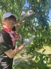 【予約販売】2025福島ユナイテッドFCの桃