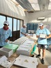 【予約販売】2025福島ユナイテッドFCのシャインマスカット