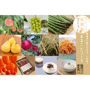 【予約販売】26-27シーズン選手が作る農作物〈定期便：まるごとコース〉