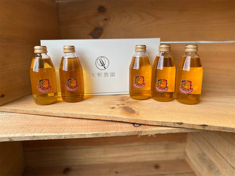 福島ユナイテッドFC×大野農園_りんごジュース(200ml×5本セット)