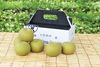 【予約販売】大野農園_豊水梨(2kg)