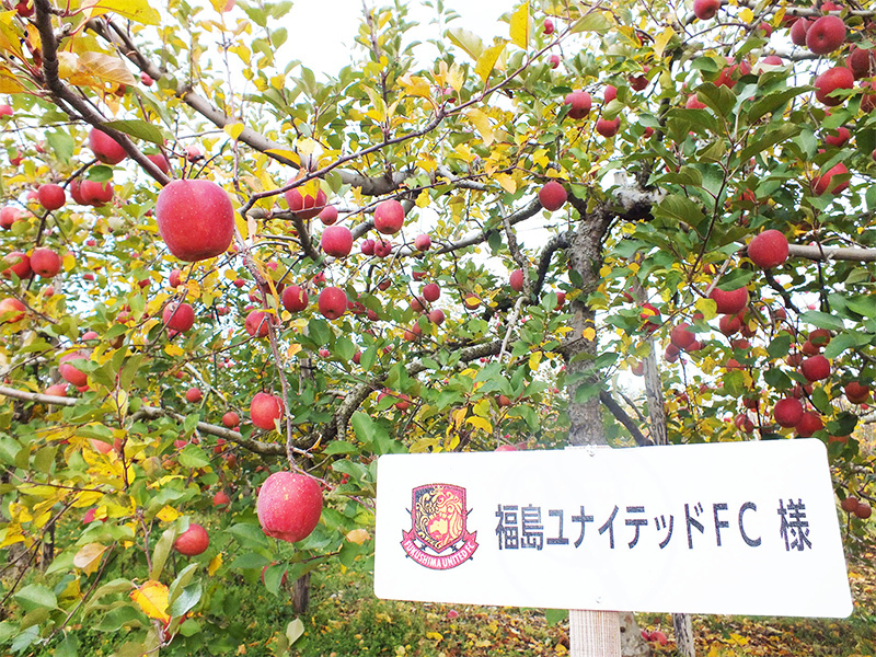 【予約販売】2020福島ユナイテッドFCのりんご