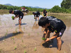 【予約販売】2020福島ユナイテッドFCのお米