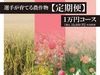 【予約販売】2021選手が作る農作物【定期便1万円】