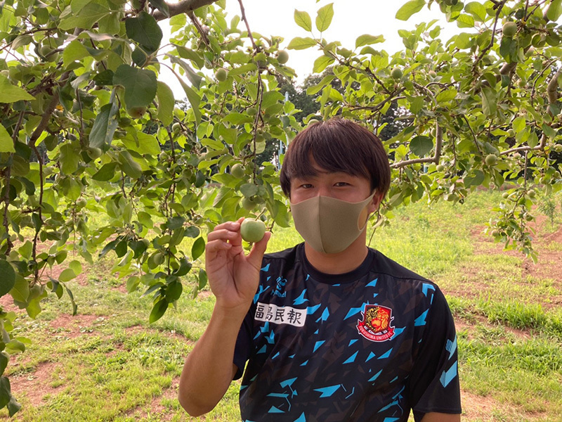【予約販売】2021福島ユナイテッドFCのりんご