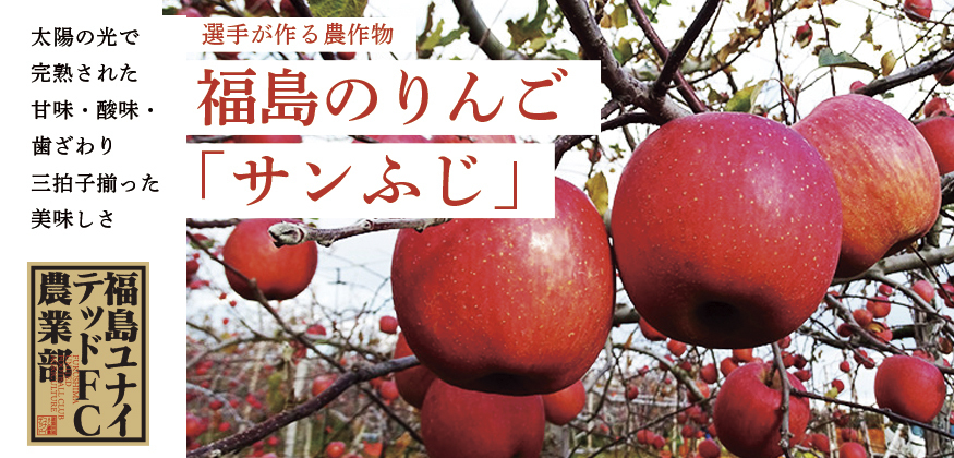 TOP＿りんご