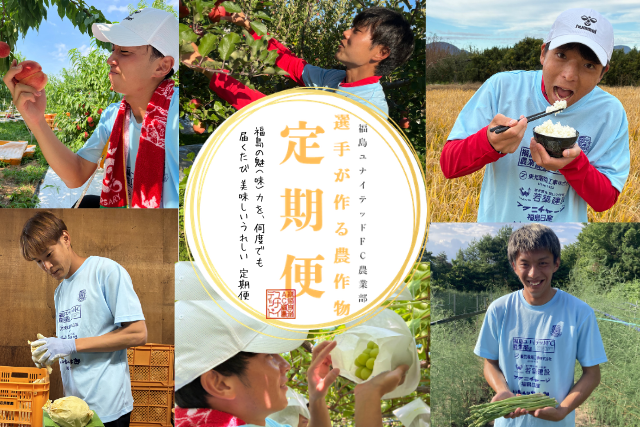 26-27シーズン定期便予約販売開始！